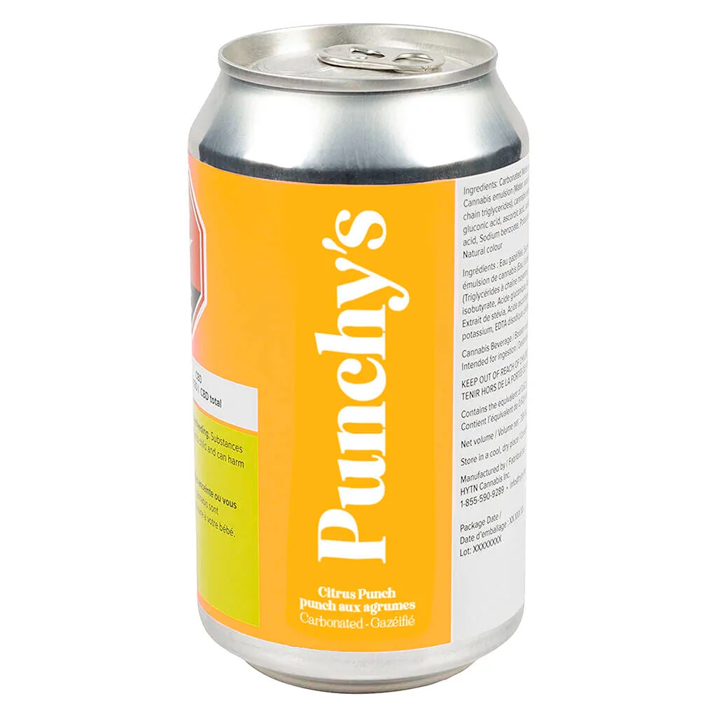 Punchys - Citrus Punch 355ml Beverage